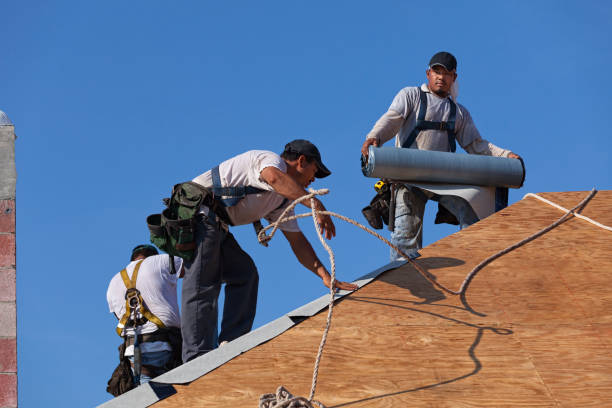 Best Gutter Installation and Roofing  in Mcmurray, PA